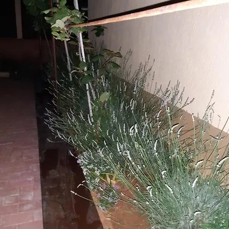 San 3 Apartment
