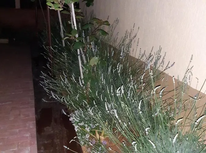 San 3 Appartement